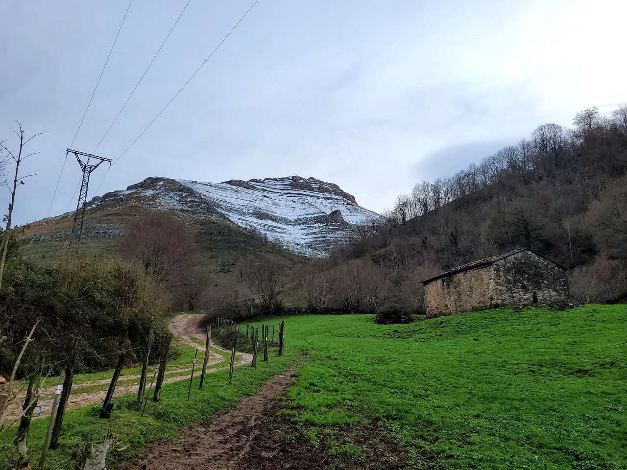 WhatsApp Image 2025-11-24 at 18.35.44